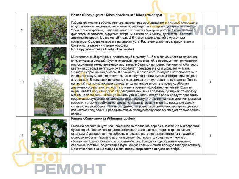 Проект благоустройства территории-102